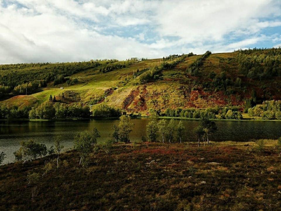 Vestvatn - Arctic Cabins Brekke  외부 사진
